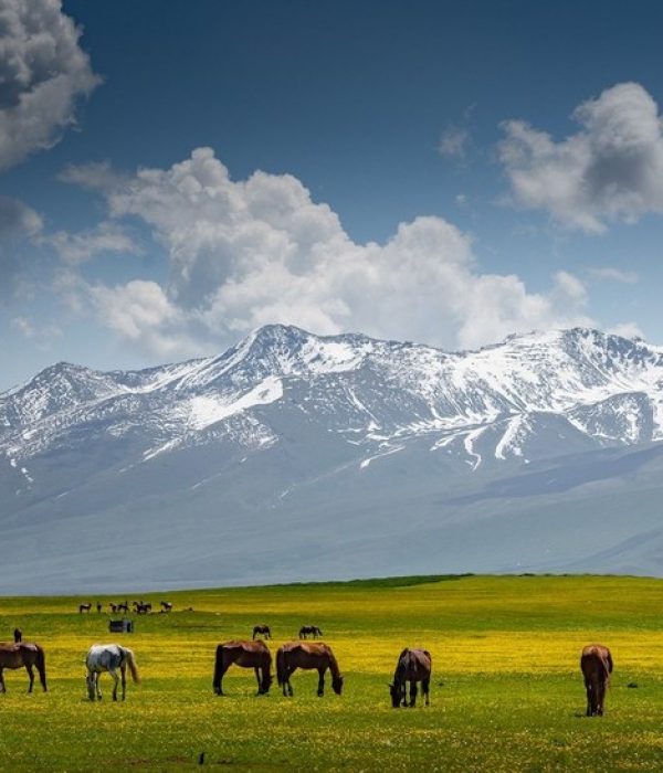 albert-dros-kyrgyzstan-photography-17